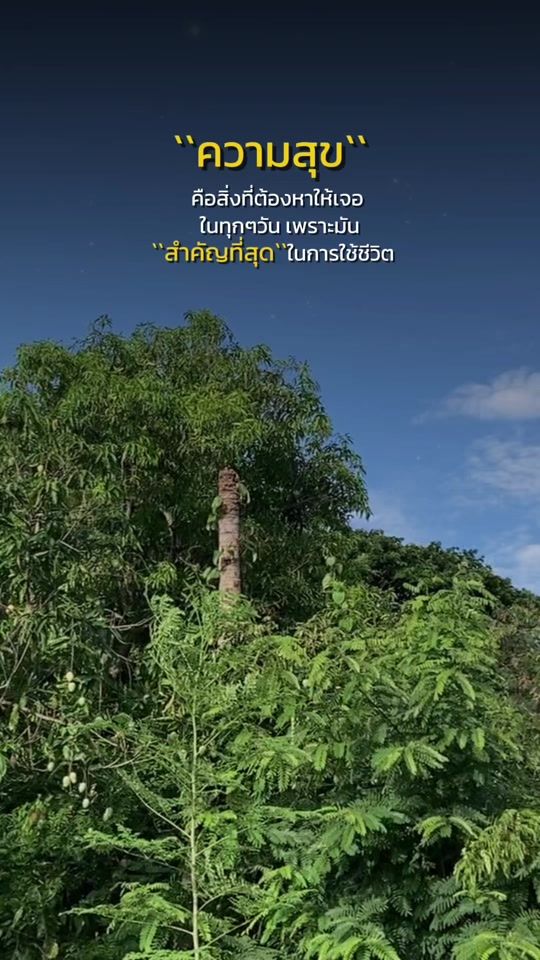 TikTok video thumbnail by styleneeny