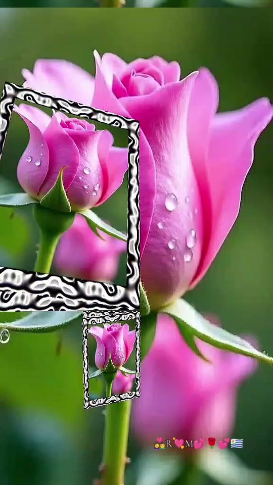 TikTok video thumbnail by rubengonzalez882
