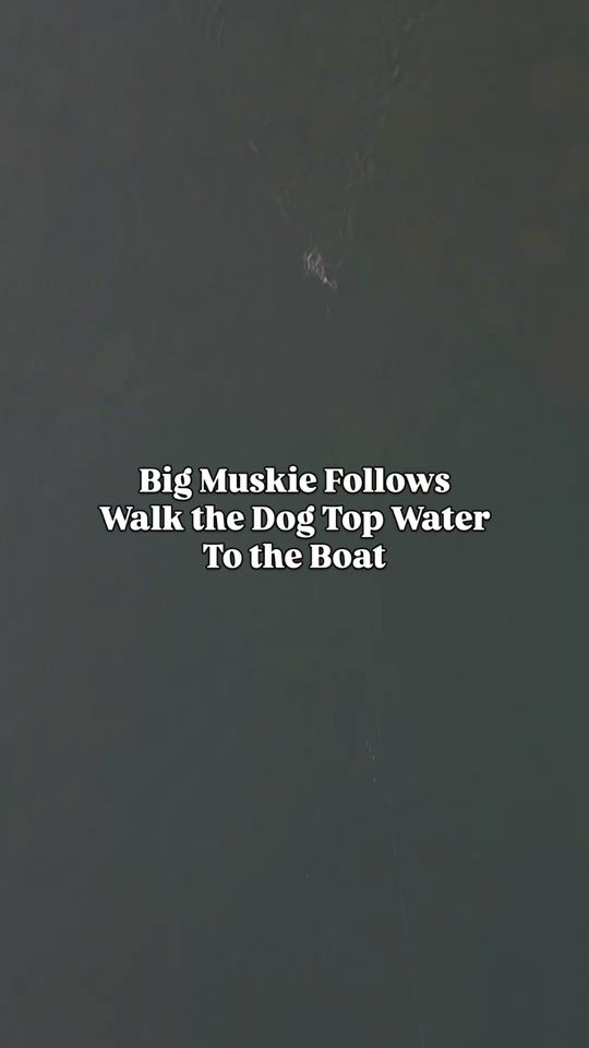 TikTok video thumbnail by breannejada