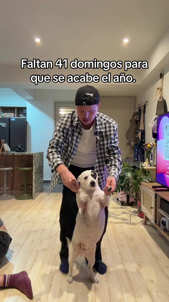 TikTok video thumbnail by davidtriana_
