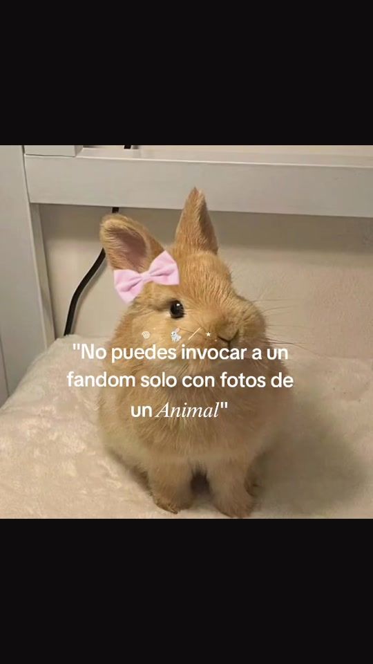 TikTok video thumbnail by eveling_34