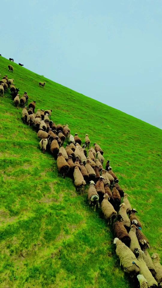 TikTok video thumbnail by ehsankhan146