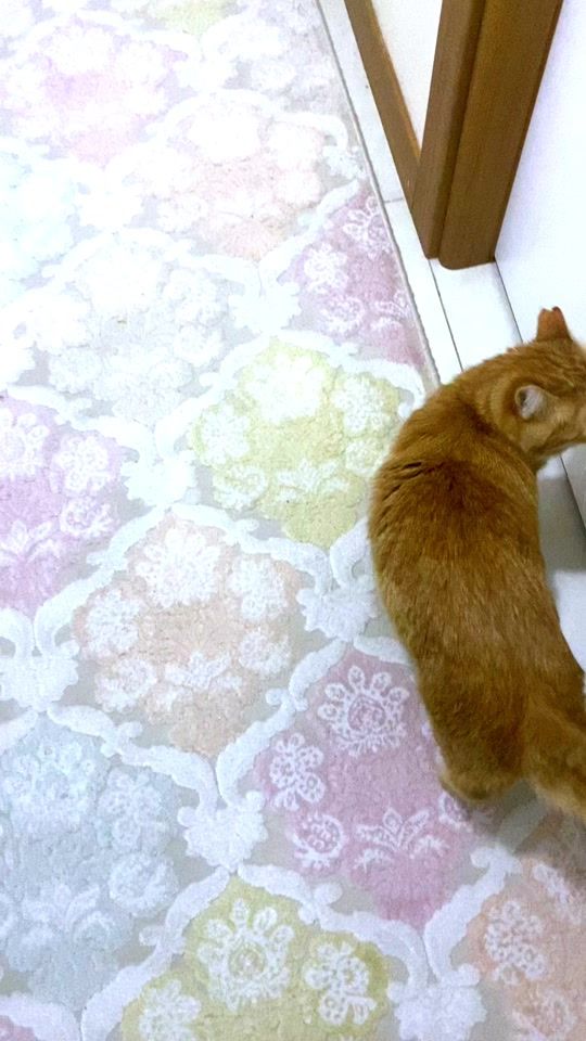 TikTok video thumbnail by kenan.uyanik