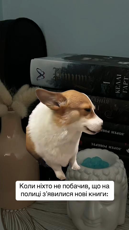TikTok video thumbnail by mliibraryy