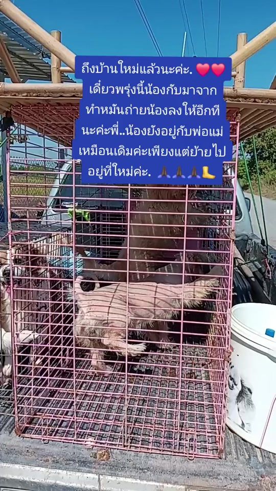 TikTok video thumbnail by vodga_51