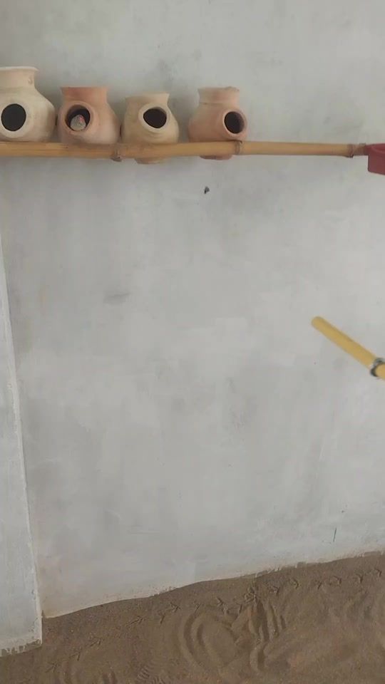 TikTok video thumbnail by user8772784334060