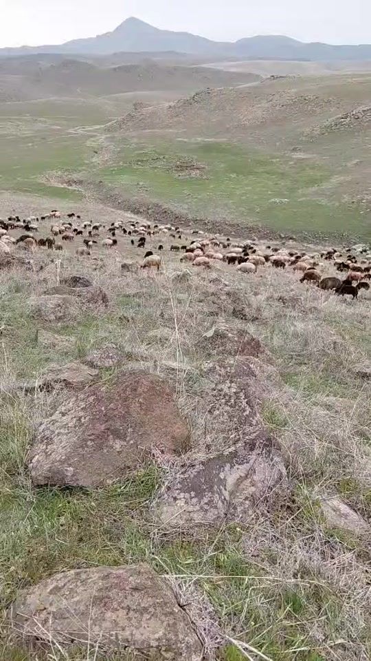 TikTok video thumbnail by kalasyan_