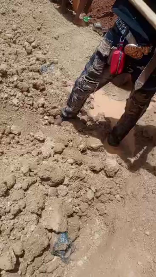 TikTok video thumbnail by ali.cfa.874