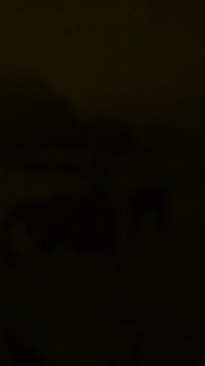 TikTok video thumbnail by sara_maluf_