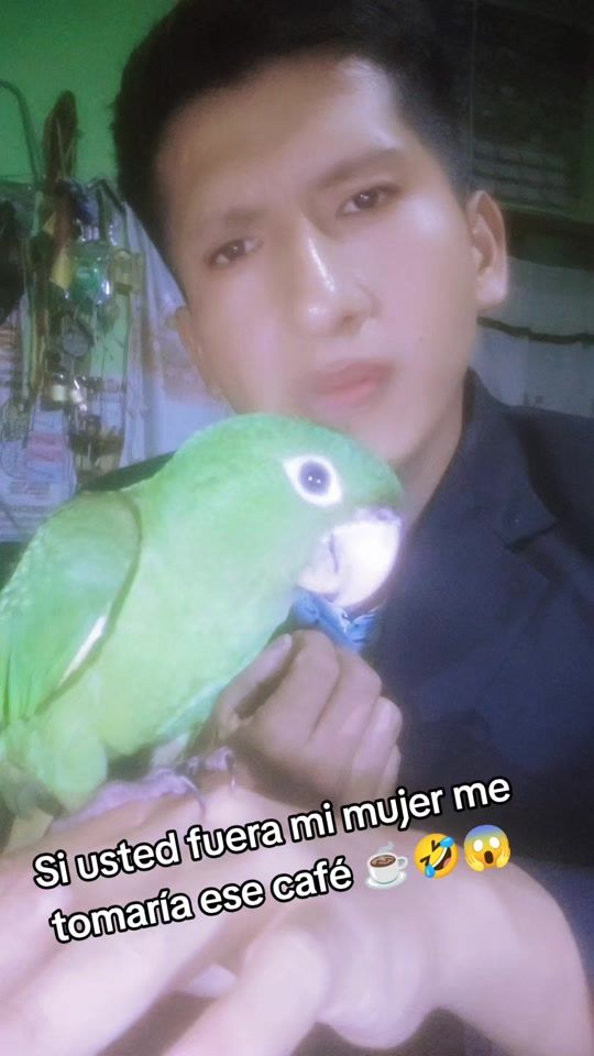 TikTok video thumbnail by luis.sierra.1