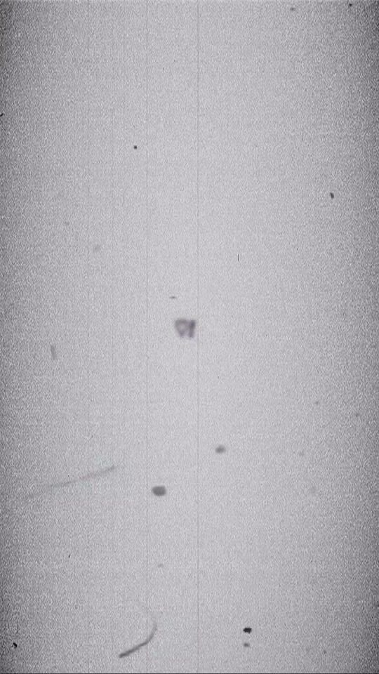 TikTok video thumbnail by phaweinee_beckyfreen