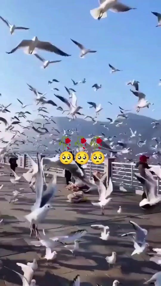 TikTok video thumbnail by sevgim_allaha327