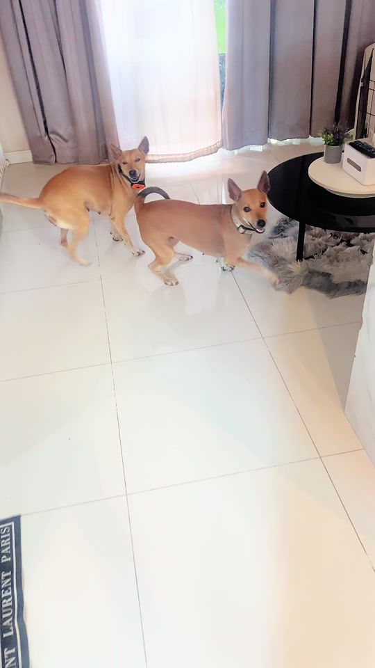 TikTok video thumbnail by microsoft.azure1