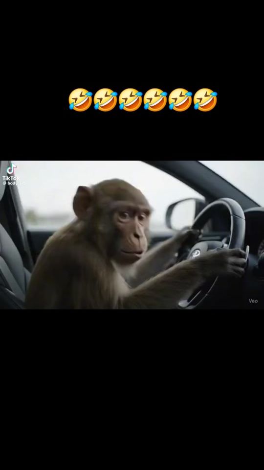 TikTok video thumbnail by awadallah_515