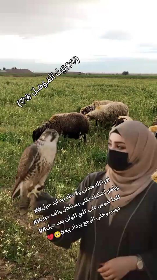TikTok video thumbnail by e_0tui