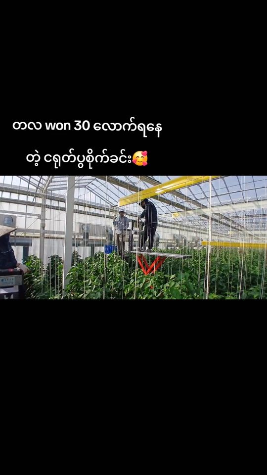 TikTok video thumbnail by thantsinthaw3