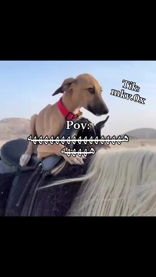 TikTok video thumbnail by mkv.0x