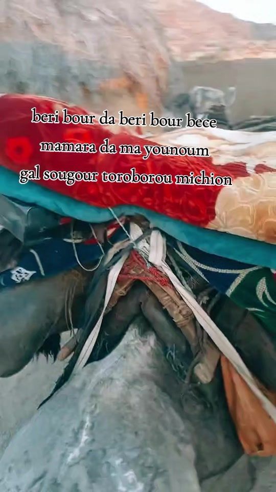 TikTok video thumbnail by saarbour0