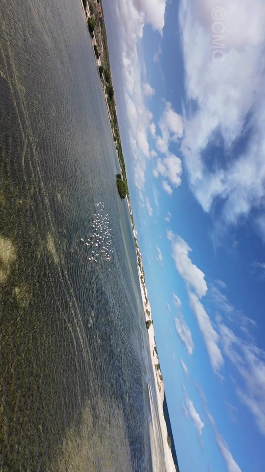 TikTok video thumbnail by abdirahman.mohamed