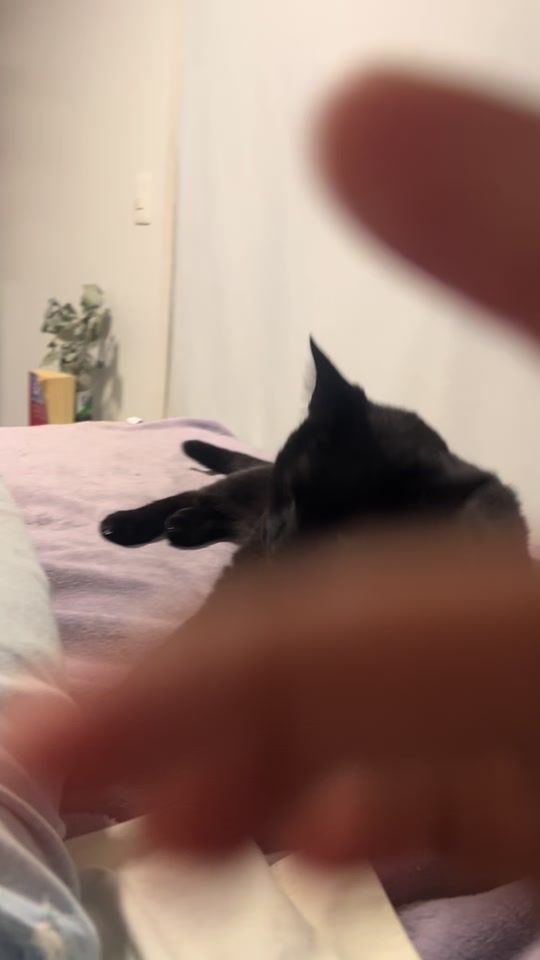 TikTok video thumbnail by giselagarcia775