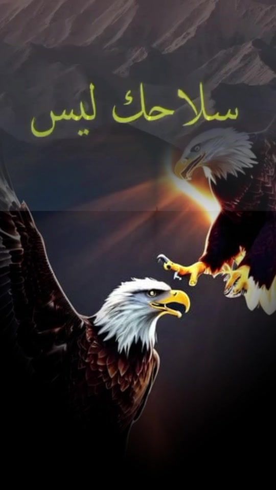 TikTok video thumbnail by abdelkhadirousman4