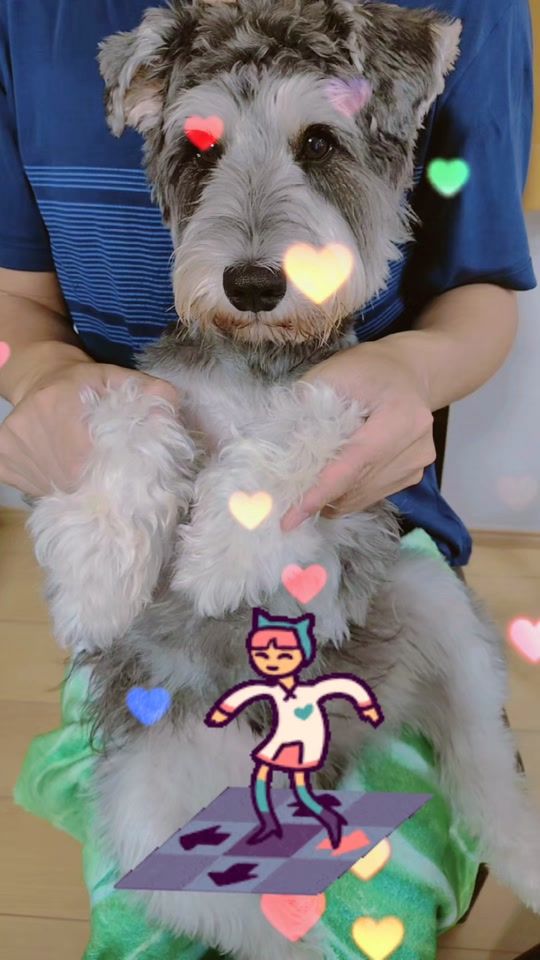 TikTok video thumbnail by lisle7702