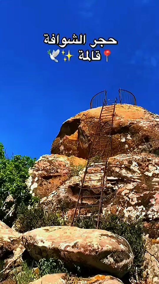 TikTok video thumbnail by cleanratrice