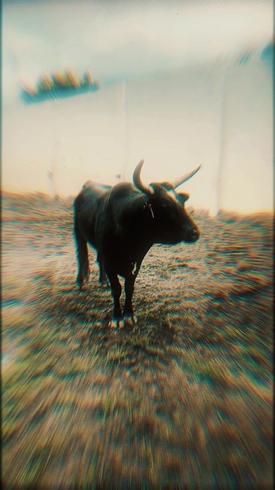 TikTok video thumbnail by ranchoelcanelo27