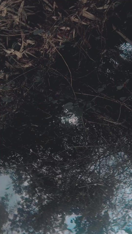 TikTok video thumbnail by beutty.akter5