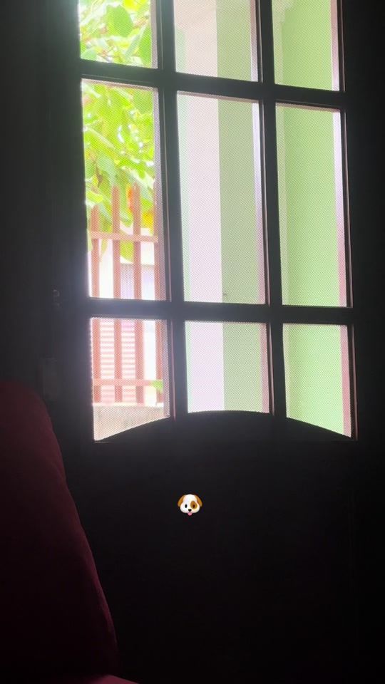 TikTok video thumbnail by cindy_funez50