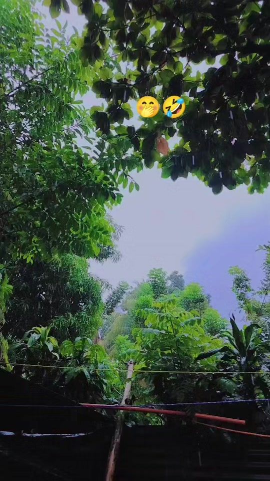 TikTok video thumbnail by monsepinea