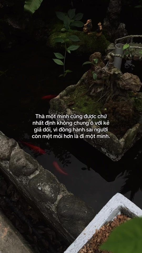 TikTok video thumbnail by promisdaxix