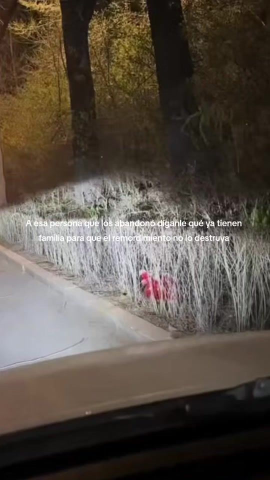 TikTok video thumbnail by es_paratii