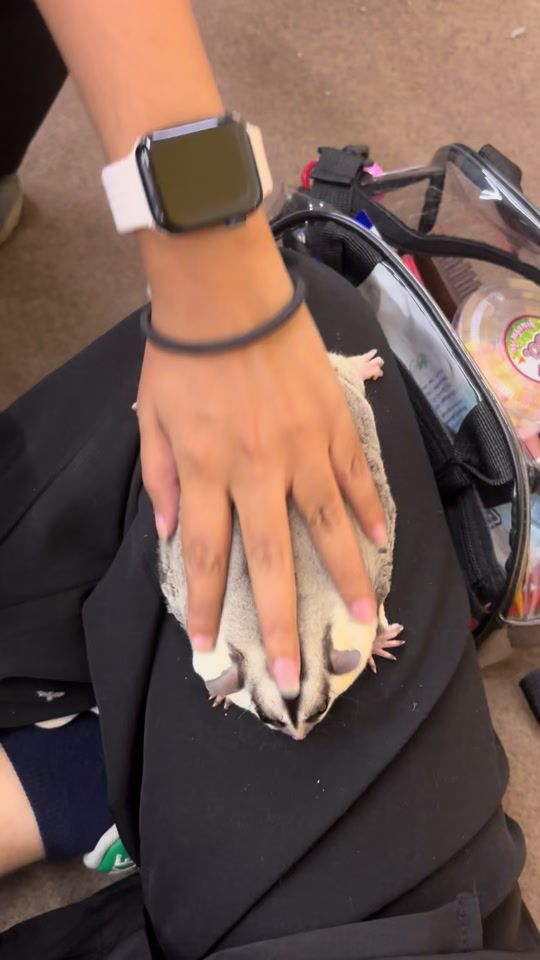 TikTok video thumbnail by ya.phit