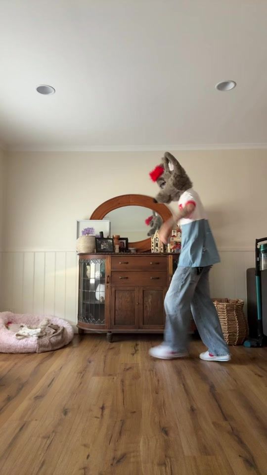 TikTok video thumbnail by deluxecanine