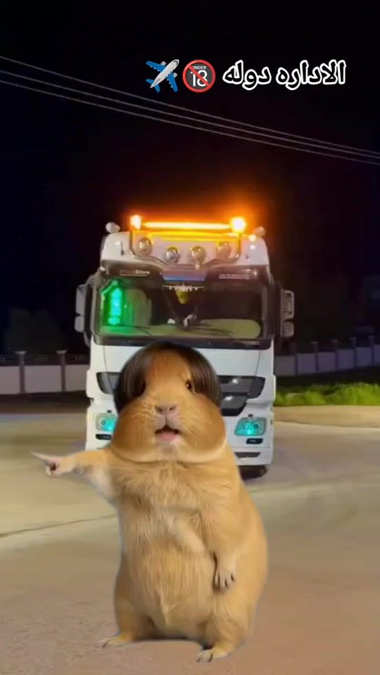TikTok video thumbnail by administration431