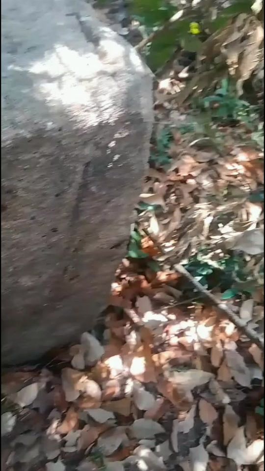 TikTok video thumbnail by vinil.shantha