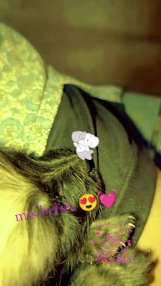 TikTok video thumbnail by jemi.gama