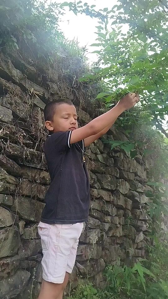 TikTok video thumbnail by kamalregmi11