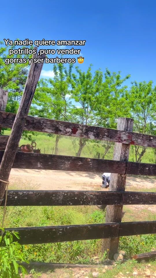 TikTok video thumbnail by jpaguilar17