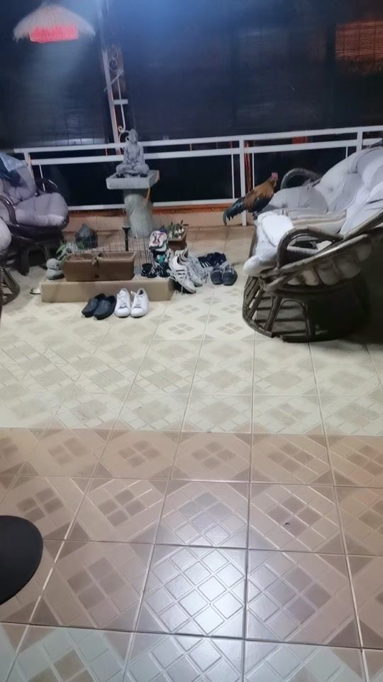 TikTok video thumbnail by satishboratramsat