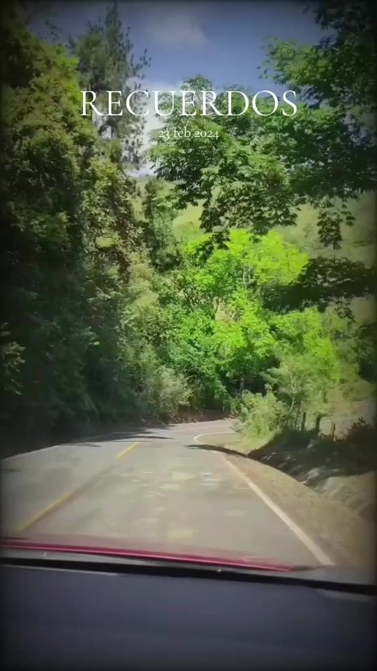 TikTok video thumbnail by lovernacular10