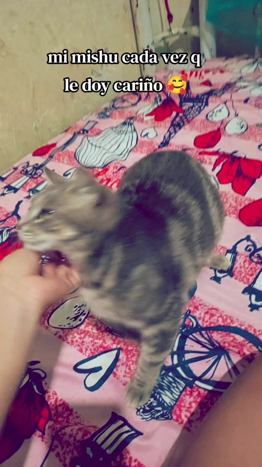 TikTok video thumbnail by n.a.y.e.2001