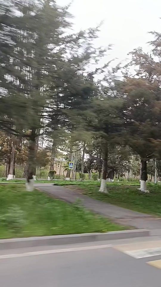 TikTok video thumbnail by venera.as.336