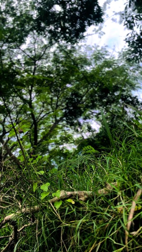 TikTok video thumbnail by bwaradja