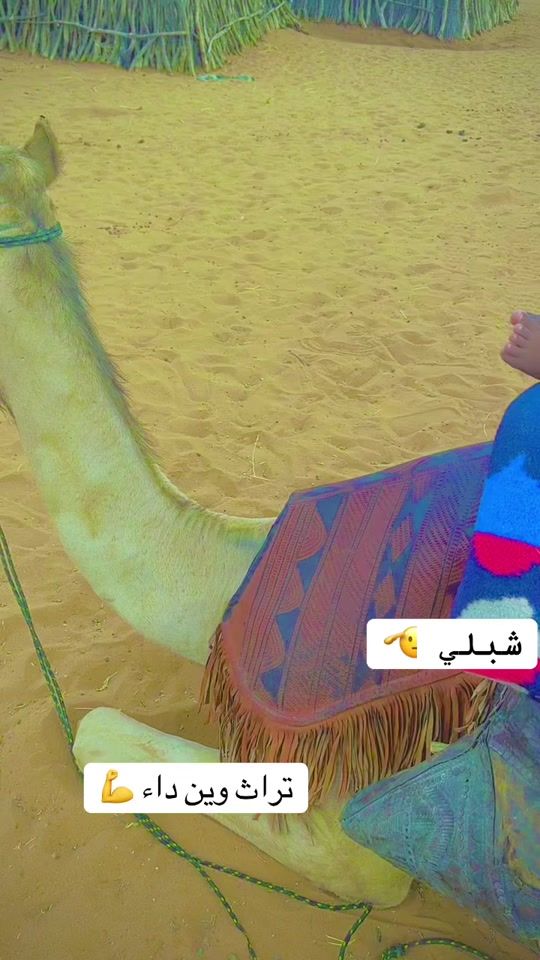 TikTok video thumbnail by .7500955