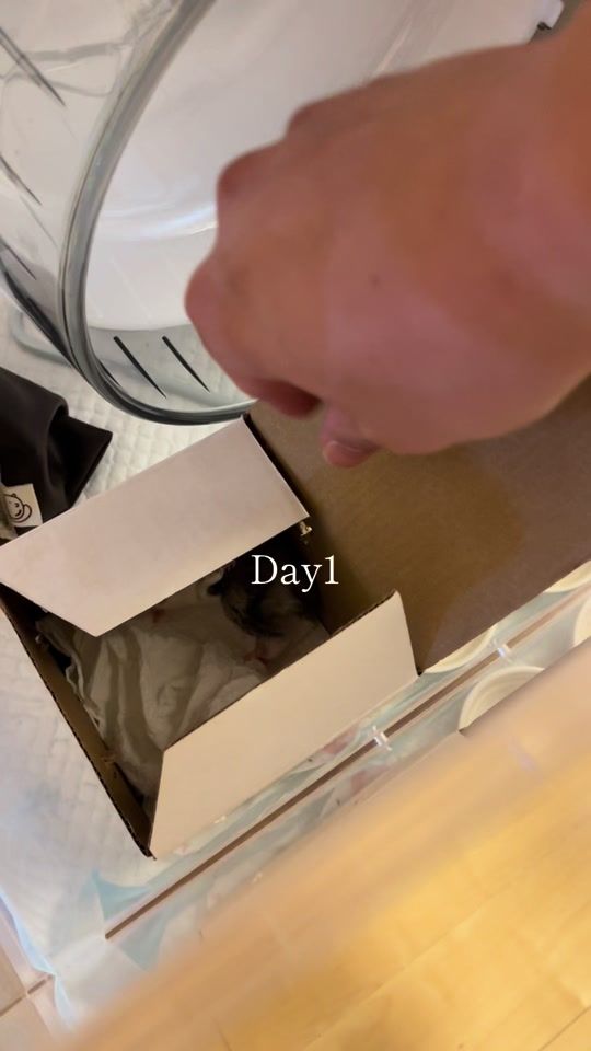 TikTok video thumbnail by nt_72k