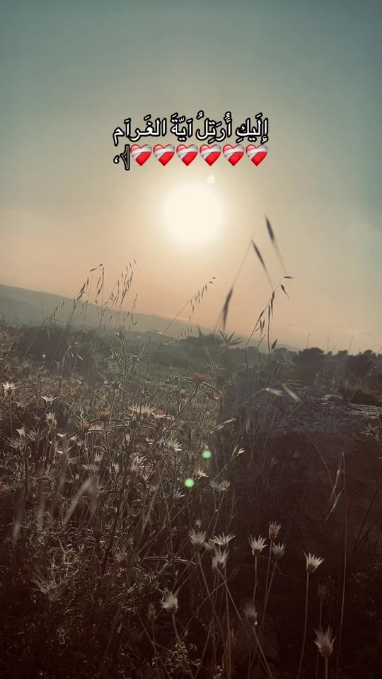 TikTok video thumbnail by dareen.mhareb