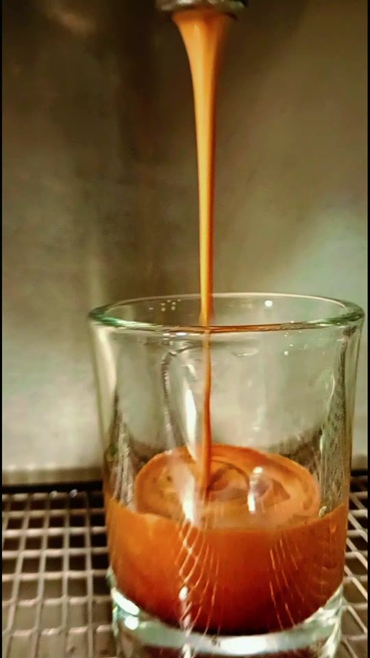 TikTok video thumbnail by caf.barista6