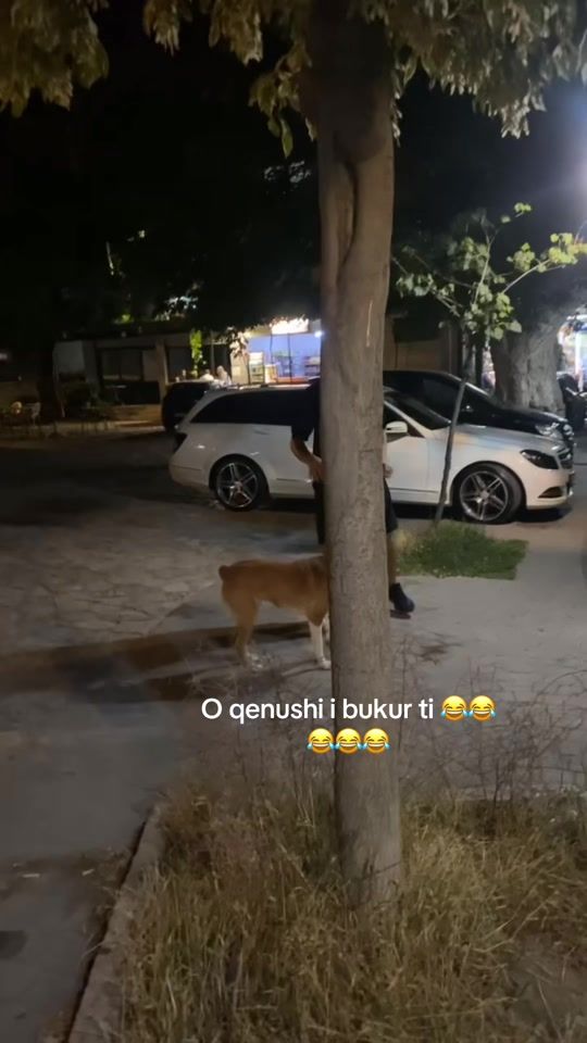 TikTok video thumbnail by its_er1si